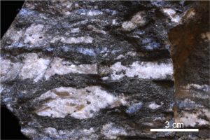 Gneiss with blue quartz scattered throughout