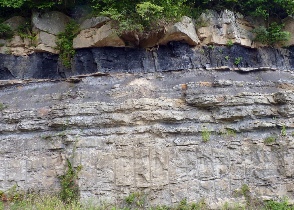 Layers of sandstone, shale, and coal in the Appalachian Plateau, Wise County.
