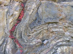 Asymmetric overturned syncline in Silurian rocks exposed at Eagle Rock in Botetourt County, Valley & Ridge province